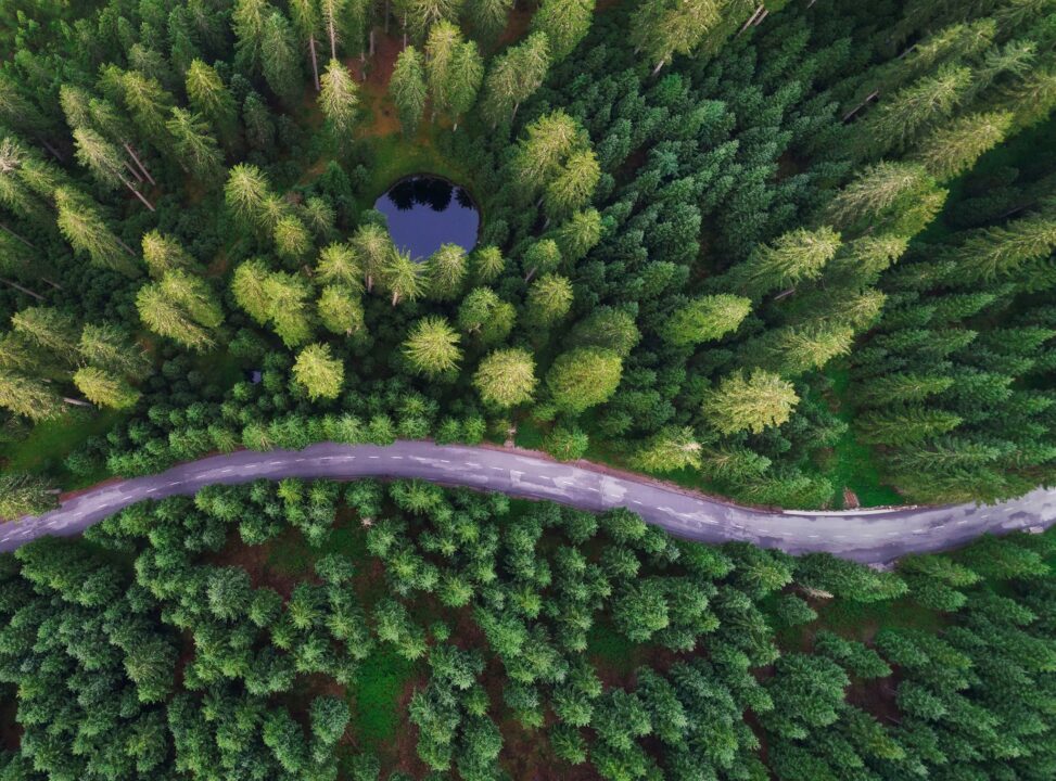 gozd glamping dron naslovna