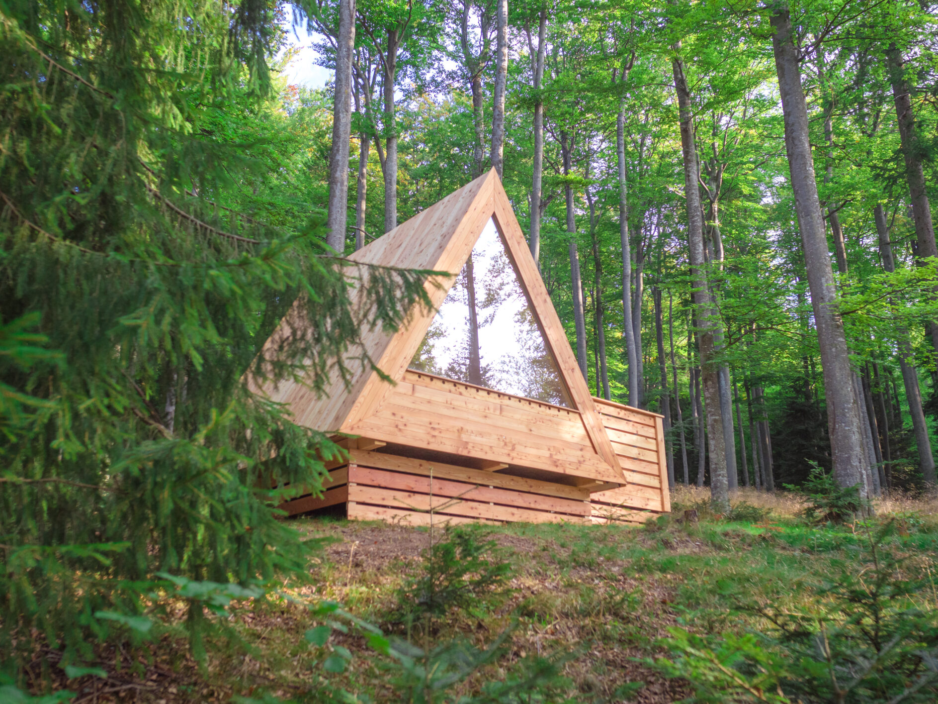The Woods of SInic