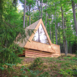 The Woods of SInic
