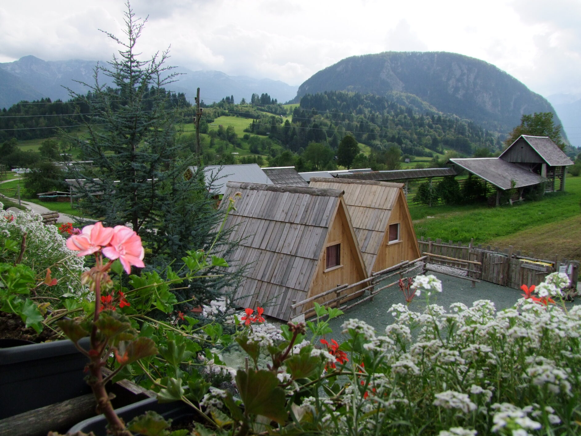 Apartments and glamping čebelica
