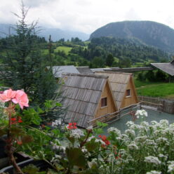 Apartments and glamping čebelica