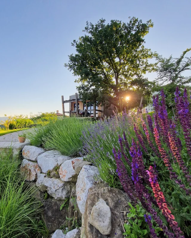 🌿💜 Visit Vipava Valley 💜🌿
Breathe in the scent of blooming lavender, feel the sun on your skin, and sip on a glass of crisp local wine. 🍷💫

This is your moment to slow down, reconnect with nature, and let the magic of Vipava Valley awaken your senses.

Lavender fields in full bloom + fine wine = pure summer bliss. 🌸🍇✨
